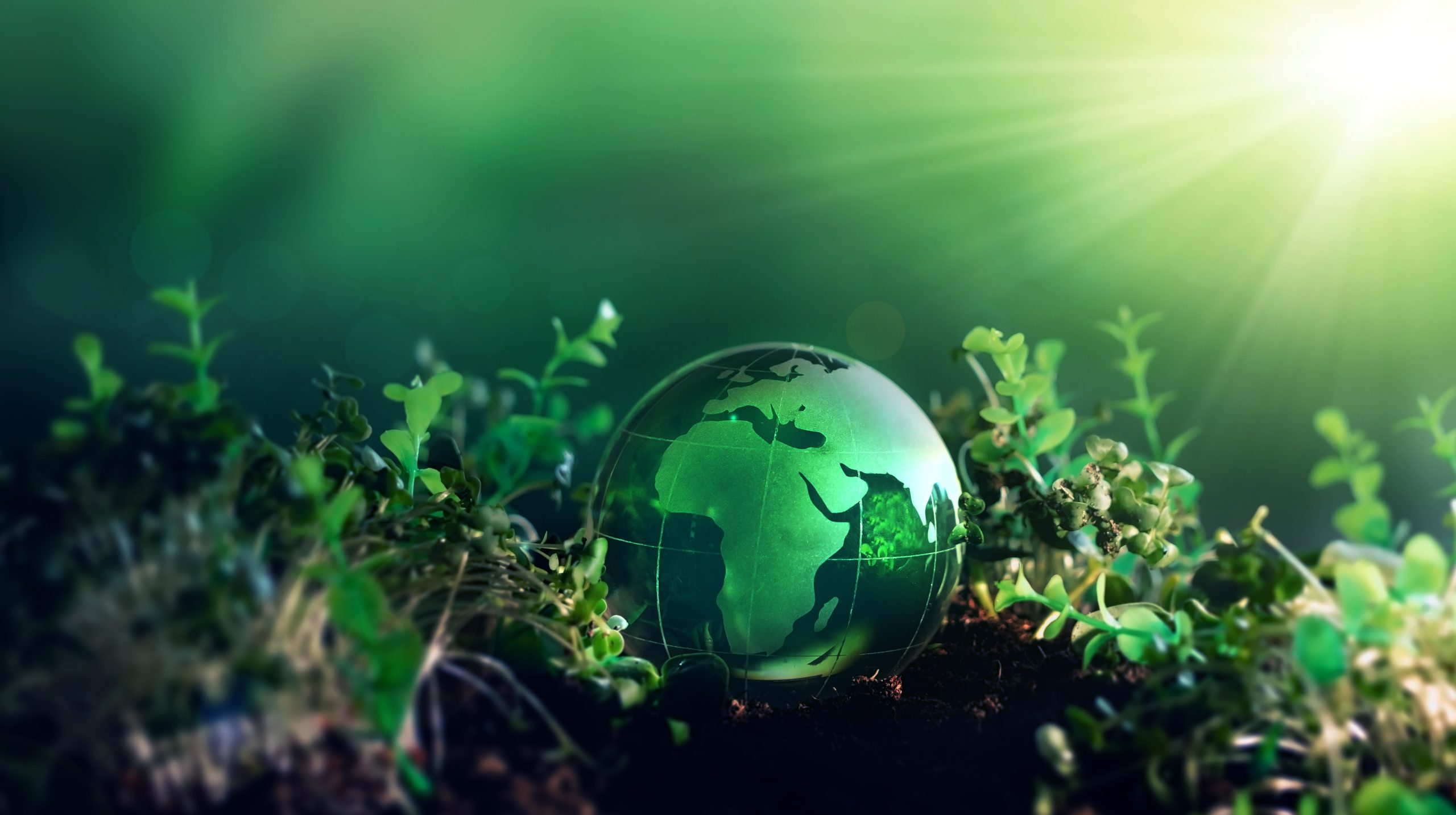 Environmental Care